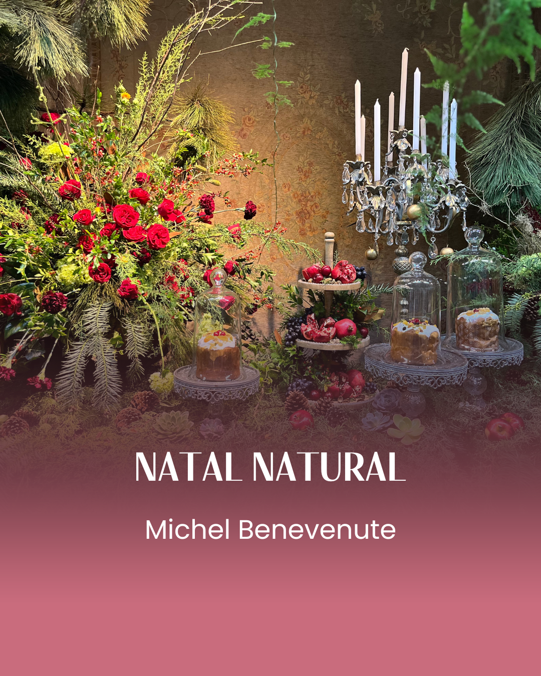 Cursos_michel_natalnatural