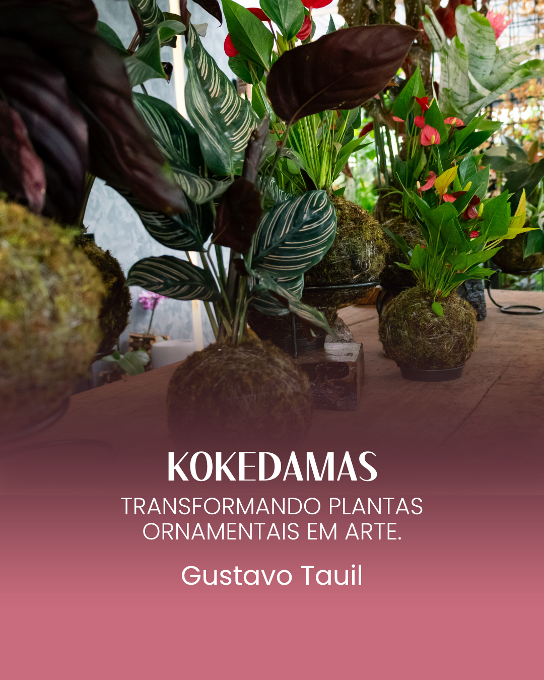 EBAF Site - Cursos disponíveis_kokedama